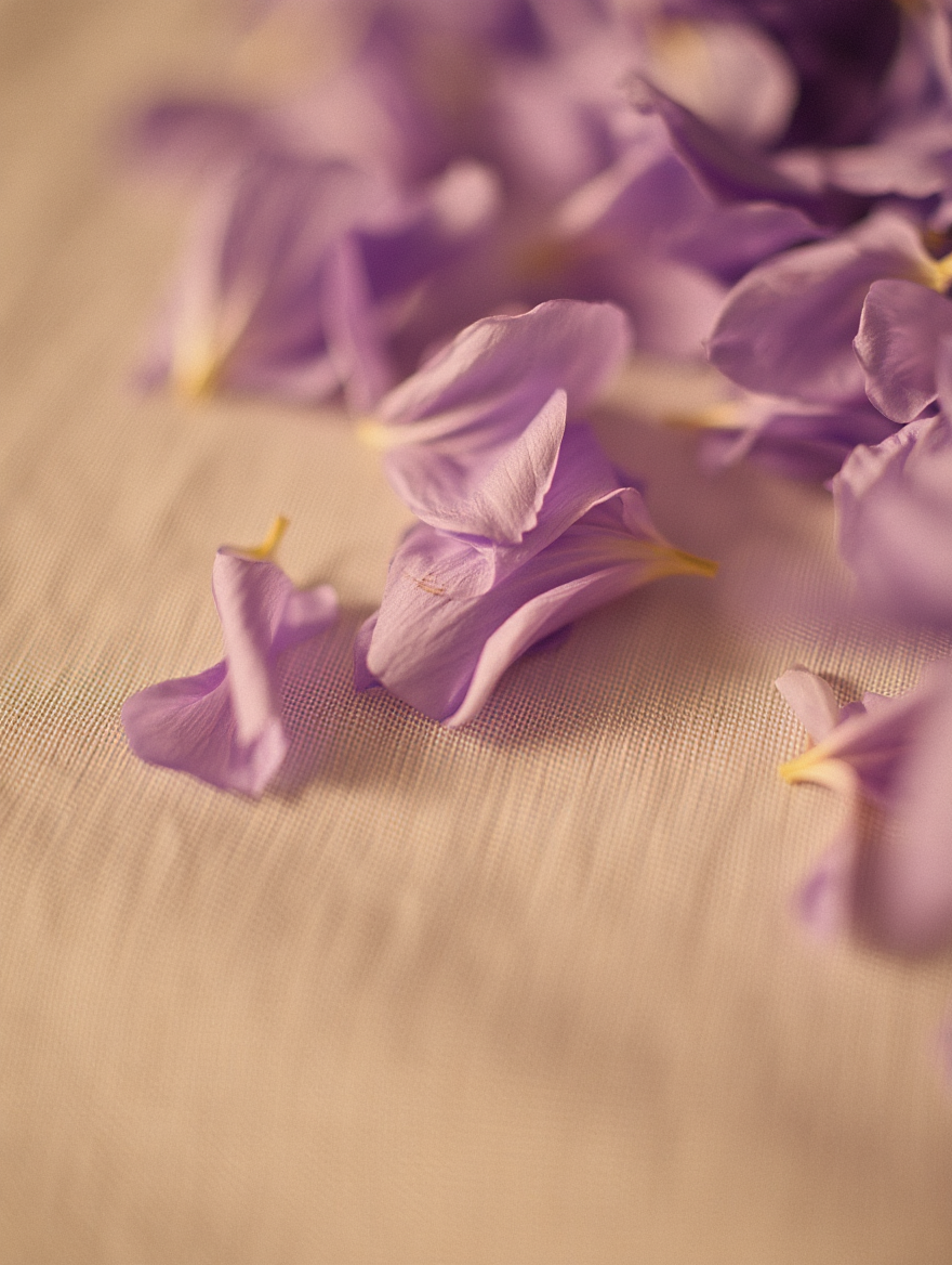 Aromas Florales
