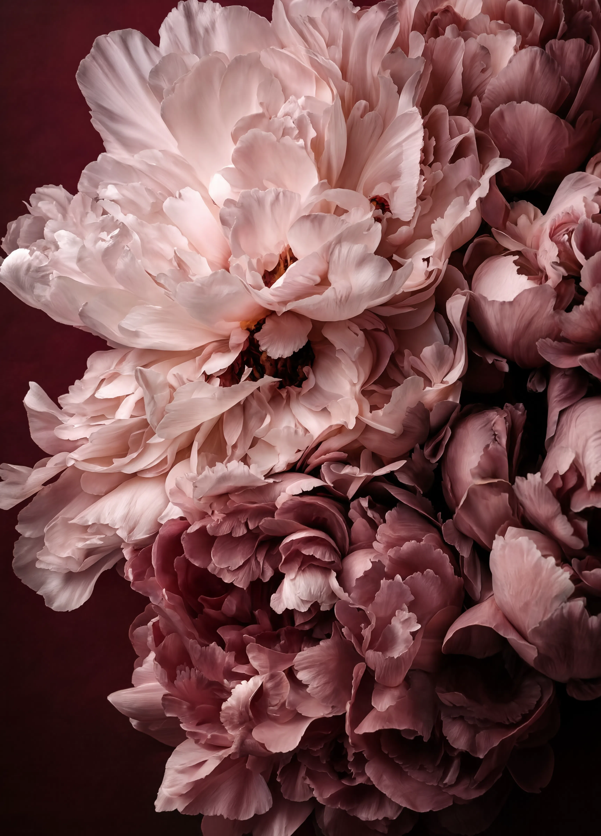 Ambiente Pink Suede